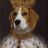RegalBeagle