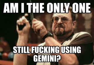 fucking-using-gemini.png