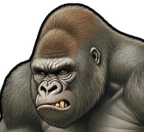 photo/ef1c2b82-18eb-4448-862c-9a7e9a6b3de5-3